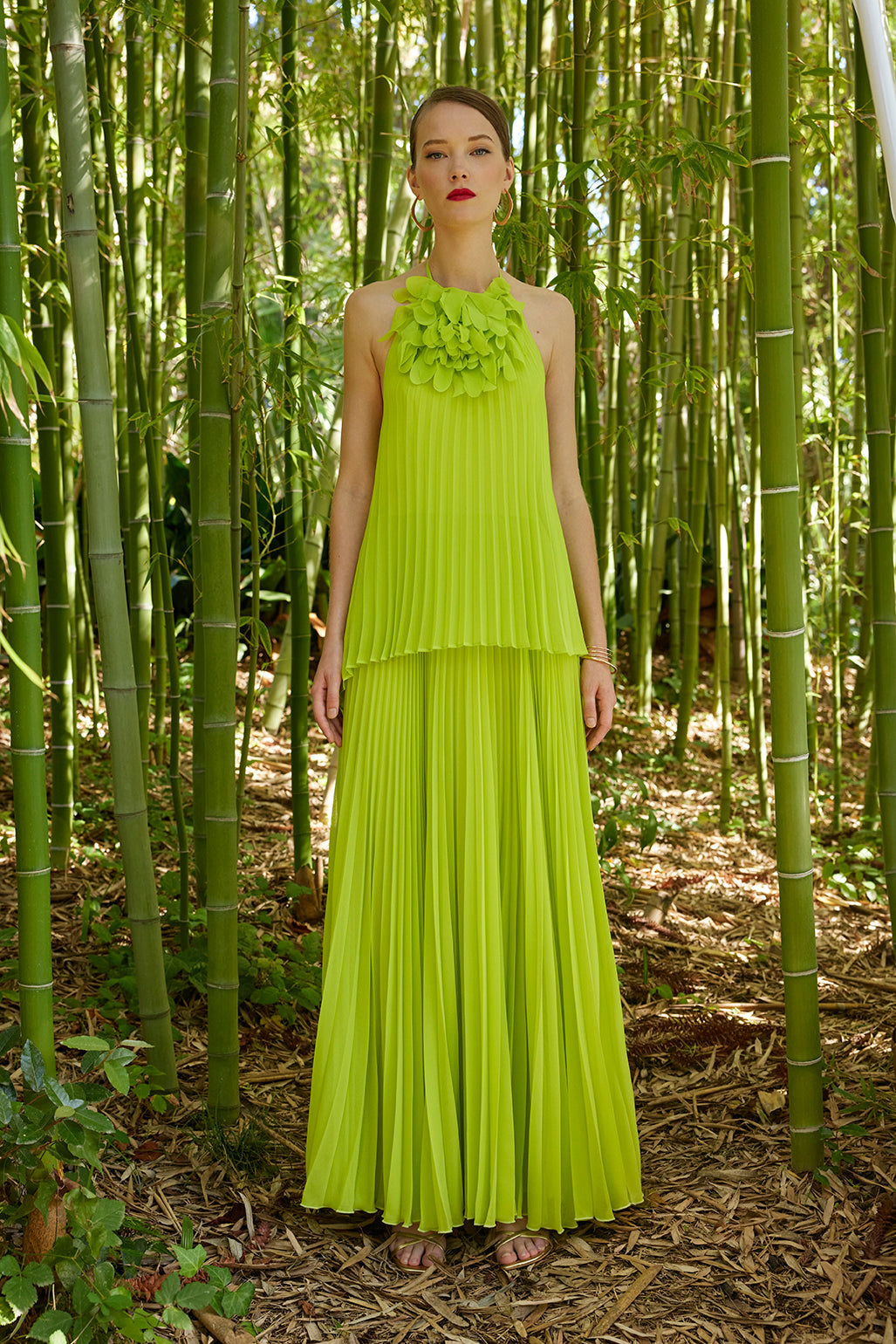 Carla Ruiz 50501: Pistachio Pleated Halter Neck Gown with Floral Neck Embellishment