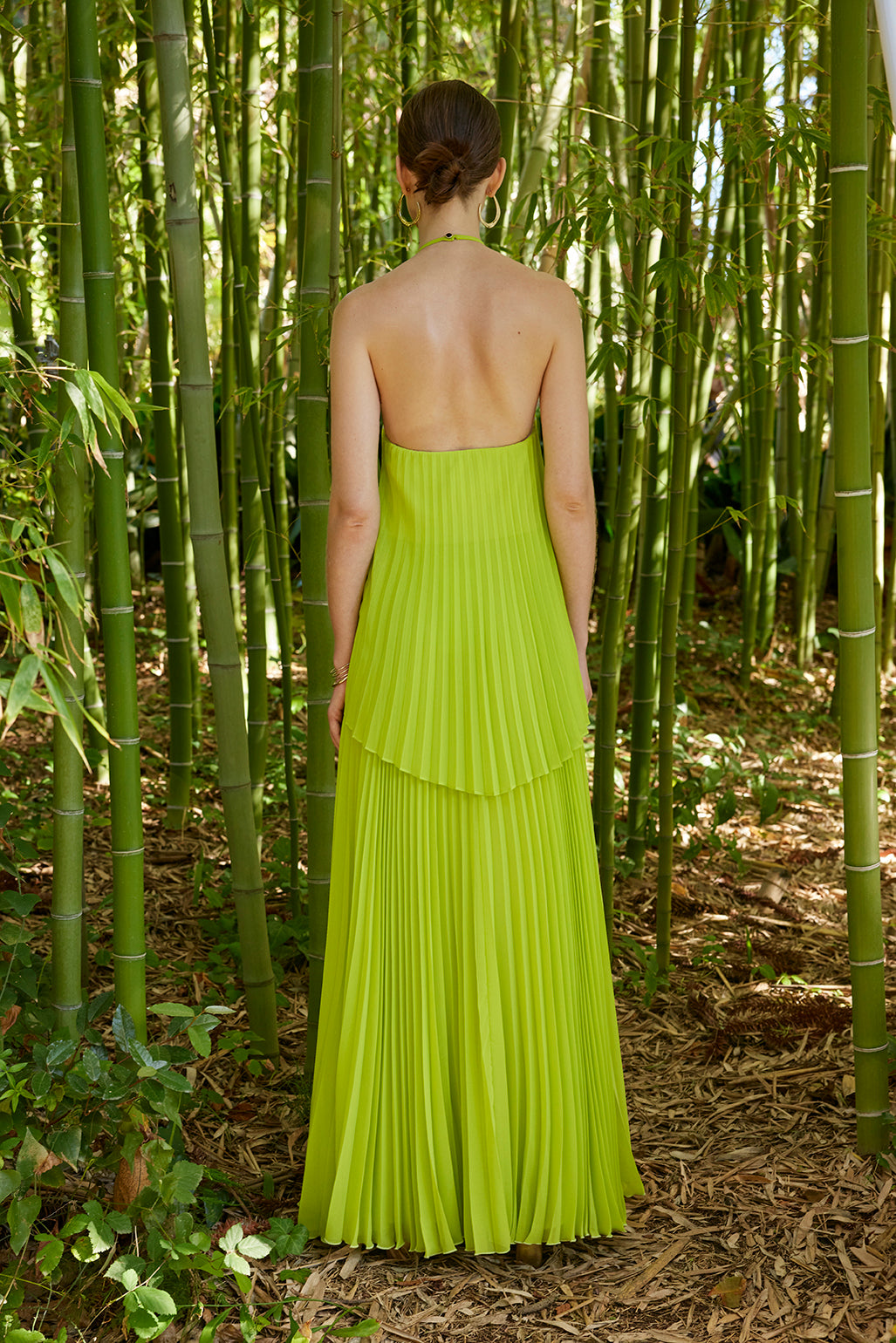 Carla Ruiz 50501: Pistachio Pleated Halter Neck Gown with Floral Neck Embellishment